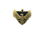 Пины