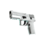 P250 | Снежная мгла