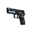 StatTrak™ P250 | Ржавая сталь