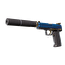 USP-S | Королевский страж