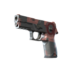 P250 | Конструктивизм