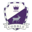 Значок «Cobblestone»