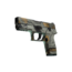 P250 | Современный охотник