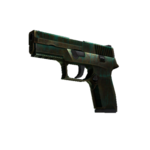 StatTrak™ P250 | Ярь-медянка