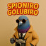 Shpioniro Golubiro