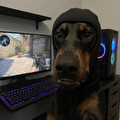 user image