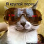 Клутой перец