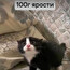 Тюбик run FAIL